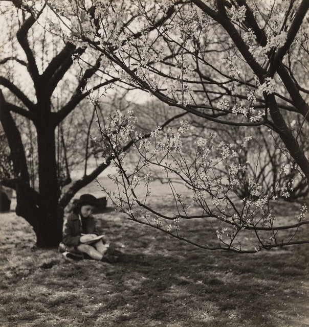John Albok, ‘The Artist, Central Park, New York’, 1933, Photography, Gelatin silver, Heritage Auctions
