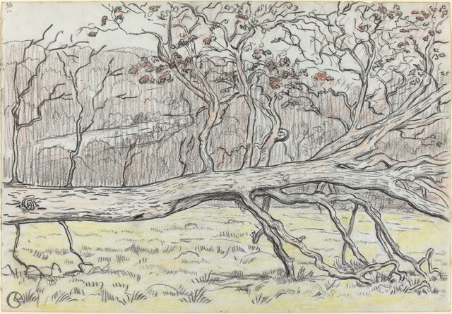 Georges Lacombe