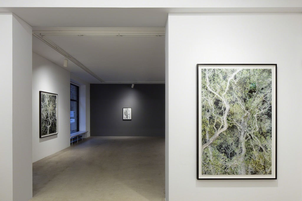 Santeri Tuori: Time Is No Longer Round, Galerie Anhava, 4-28 February 2016 Santeri Tuori: Time Is No Longer Round, Galerie Anhava, 4-28 February 2016
