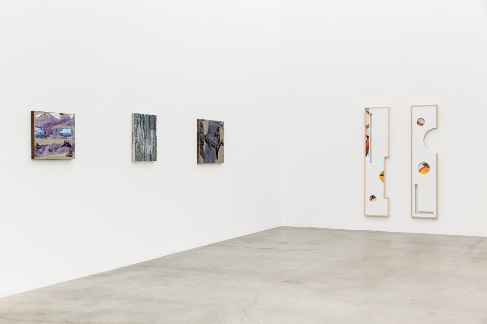 Catfish, Installation view, 2015 Catfish, Installation view, 2015