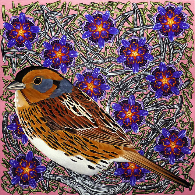 Kevin Veara, ‘Exult #43 Nelson's Sharptailed Sparrow’, 2019, Springfield Art Association