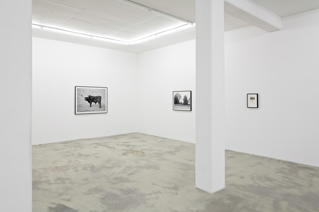 UR, 2015, exhibition view at KLEMM'S Berlin UR, 2015, exhibition view at KLEMM'S Berlin