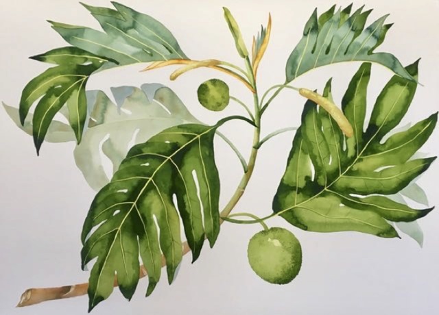Idoline Duke, ‘Breadfruit Branch’, 2019, ARC Fine Art LLC