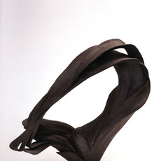 Fujikasa Satoko