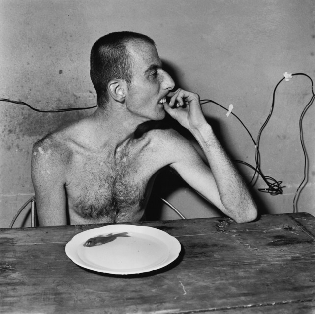 Roger Ballen, ‘lunch time’, 2001, Aura Gallery