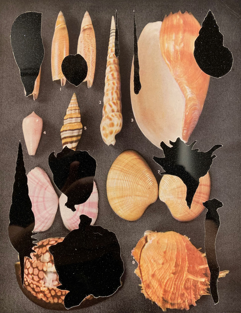 Paul Merrick, ‘In The Dance Of The Skeletons’, 2019, Mixed Media, Found Image on Black Glossy Perspex, WORKPLACE