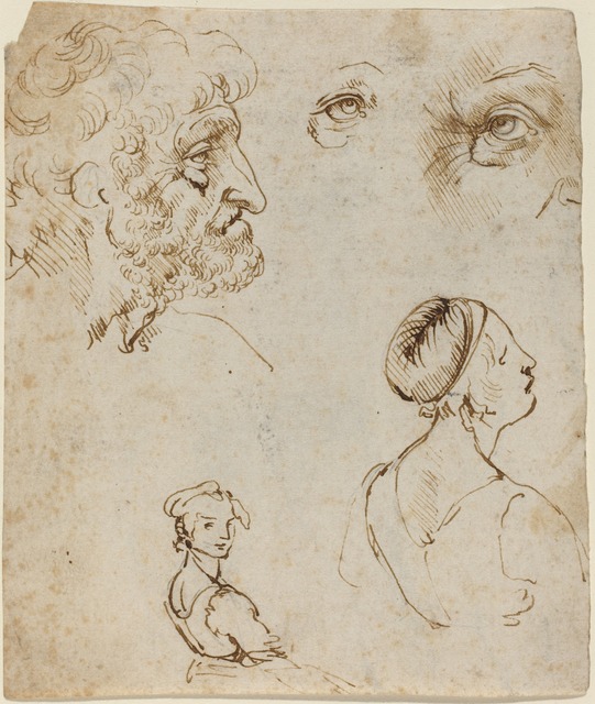 Leonardo Da Vinci Sheet Of Studies Recto Probably 1470