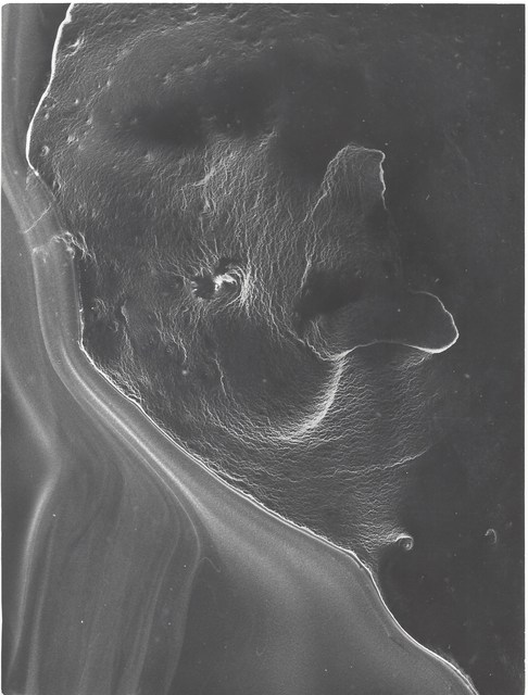 Miloš Koreček, ‘My Zoo’, ca. 1972, Photography, Vintage gelatin silver print, TRAPÉZ