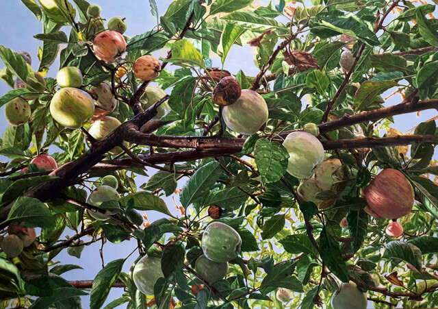 Apple Bough