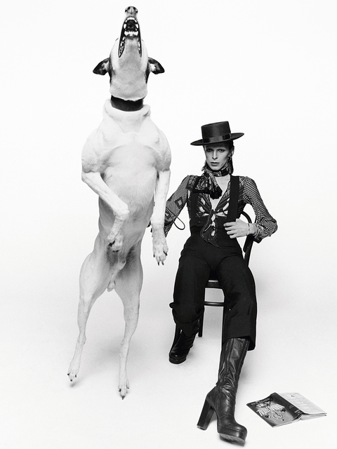 Terry O'Neill, ‘David Bowie, Diamond Dogs, London’, 1974, Photography, Silver Gelatin Print, IFAC Arts
