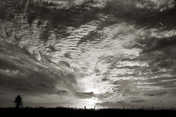 Cara Weston, ‘Mexico Border, Sunset’, 2006, Weston Gallery