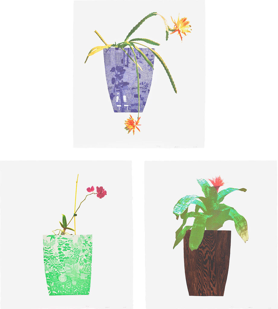 Jonas Wood - Three Landscape Pots: Night Bloom, Orchid, and Bromeliad