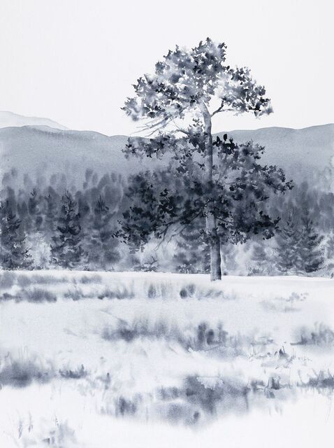 Winter Landscape by Jill Poyerd