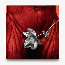 HdM GALLERY at Art Brussels 2025