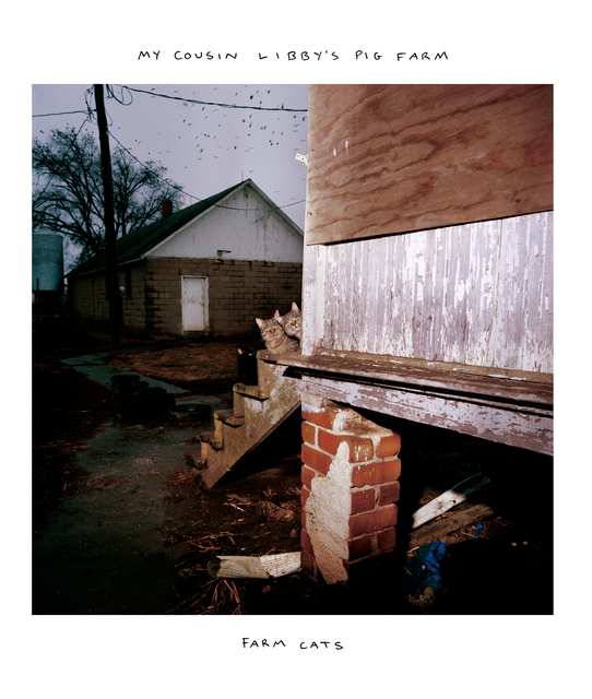 Chris Verene, ‘MY COUSINLIBBY’S PIG FARM. FARM CATS’, 2010, Postmasters Gallery