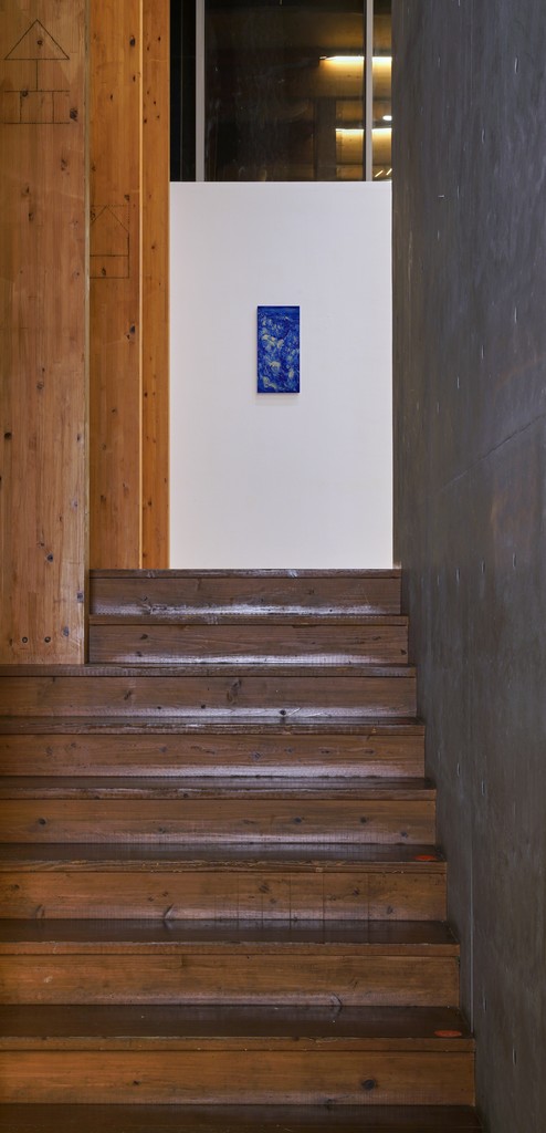 Vestigial Organs, Installation view, Gallery SoSo, 2018 Vestigial Organs, Installation view, Gallery SoSo, 2018