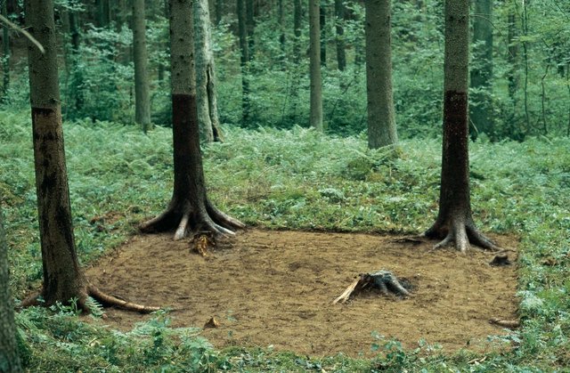 Michael Sailstorfer, ‘Waldputz’, 2000, Cultural Avenue