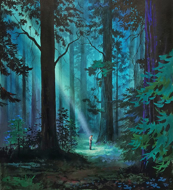 Hector Garrido A Ray Of Light In The Forest Book Cover Illustration 1970 1979 Available For Sale Artsy