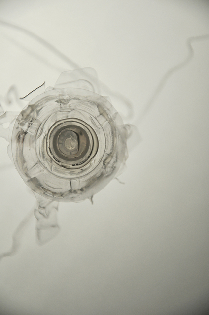 Laurent Lamarche, ‘Translucida Organidée (échantillons 6)’, 2009, Art Mûr