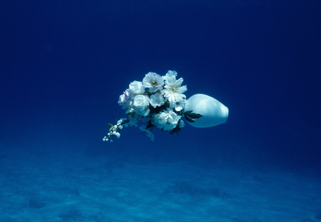 Elspeth Diederix, ‘White Flowers Still Life’, 2007, Casemore Kirkeby