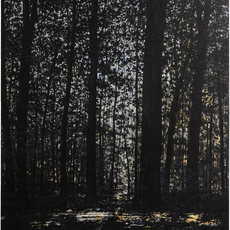 Wulf Winckelmann