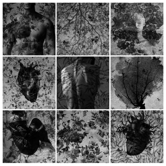 Marwa Adel, ‘The Forest’, 2018, Photography, Photographic montage, Janet Rady Fine Art