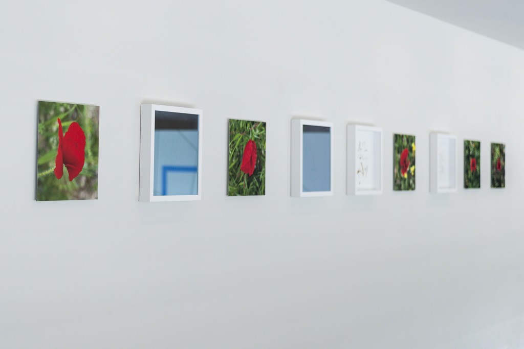 Installation view, Slow Dialogues: Time, Space, and Scale, Yerba Buena Center for the Arts. Photographs: Charlie Villyard. Courtesy Yerba Buena Center for the Arts. Installation view, Slow Dialogues: Time, Space, and Scale, Yerba Buena Center for the Arts. Photographs: Charlie Villyard. Courtesy Yerba Buena Center for the Arts.