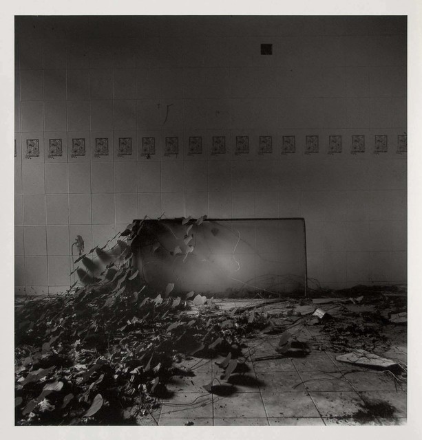 Simryn Gill, ‘My Own Private Angkor’, 2008, Jhaveri Contemporary