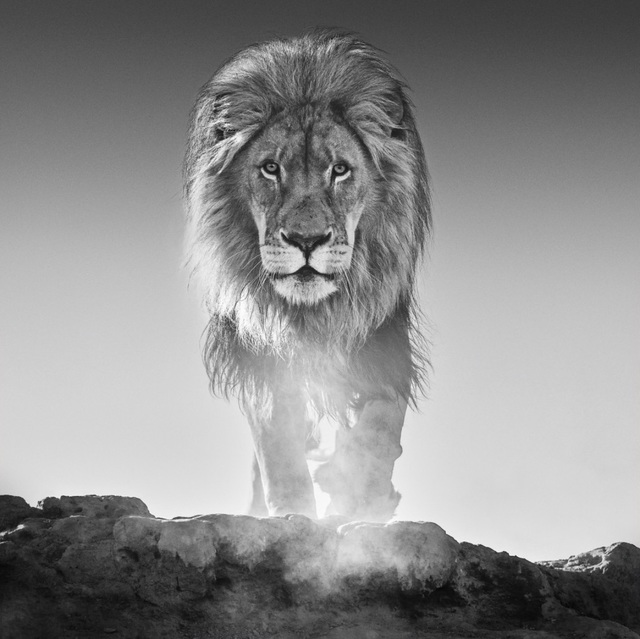 David Yarrow, ‘The Old Testament’, ca. 2017, Photography, Archival Pigment Print, Samuel Lynne Galleries