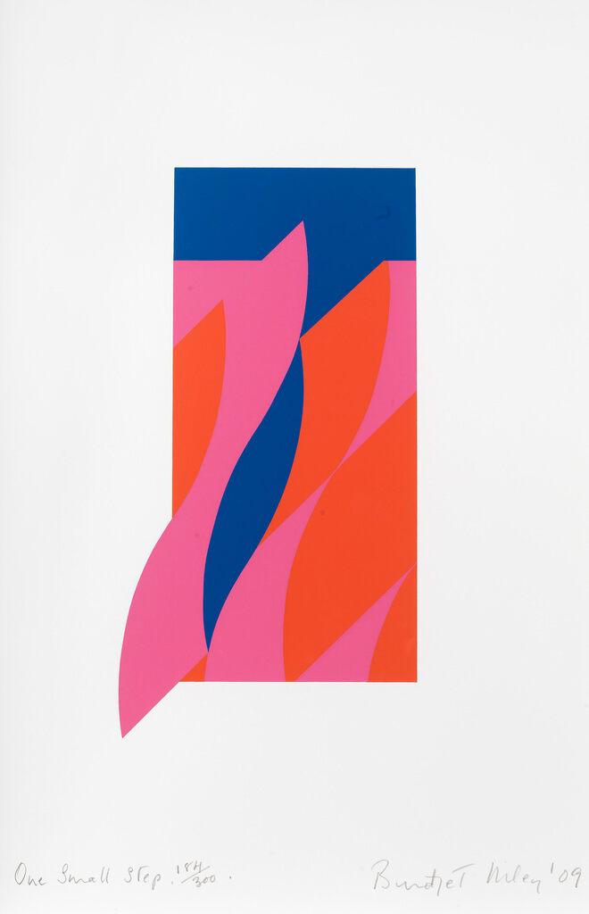 Bridget Riley - One Small Step