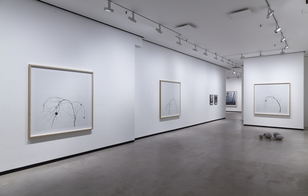 Axel Antas, Uncanny Valley, 4.2. - 26.2.2017 Axel Antas, Uncanny Valley, 4.2. - 26.2.2017