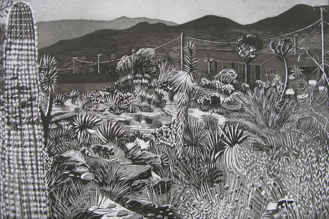 Kate Crook, ‘Joshua Tree #8’, 2017, Print, Lithograph, edition 50 on Somerset White velvet paper acid free, Asher Grey Gallery