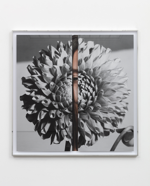 Kathryn Andrews, ‘Hollywood Dahlia’, 2019, Painting, Stainless steel, aluminum, glass, ink, and paint, MCA Chicago Benefit Auction