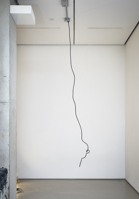 Sean Shim-Boyle, ‘Beanstalk’, 2018, Jane Lombard Gallery