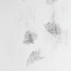 Judith Raum