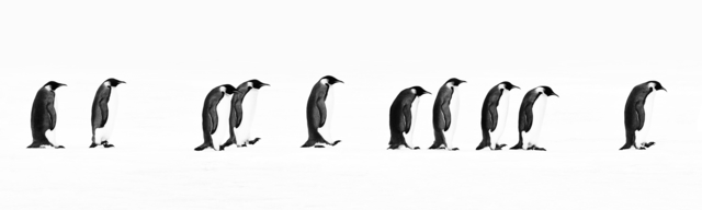 David Yarrow, ‘The Long March’, ca. 2010, Photography, Archival Pigment Print, Samuel Lynne Galleries