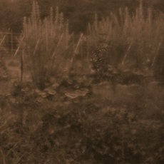 Gesshu Ogawa