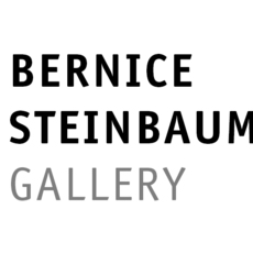 Bernice Steinbaum Gallery logo