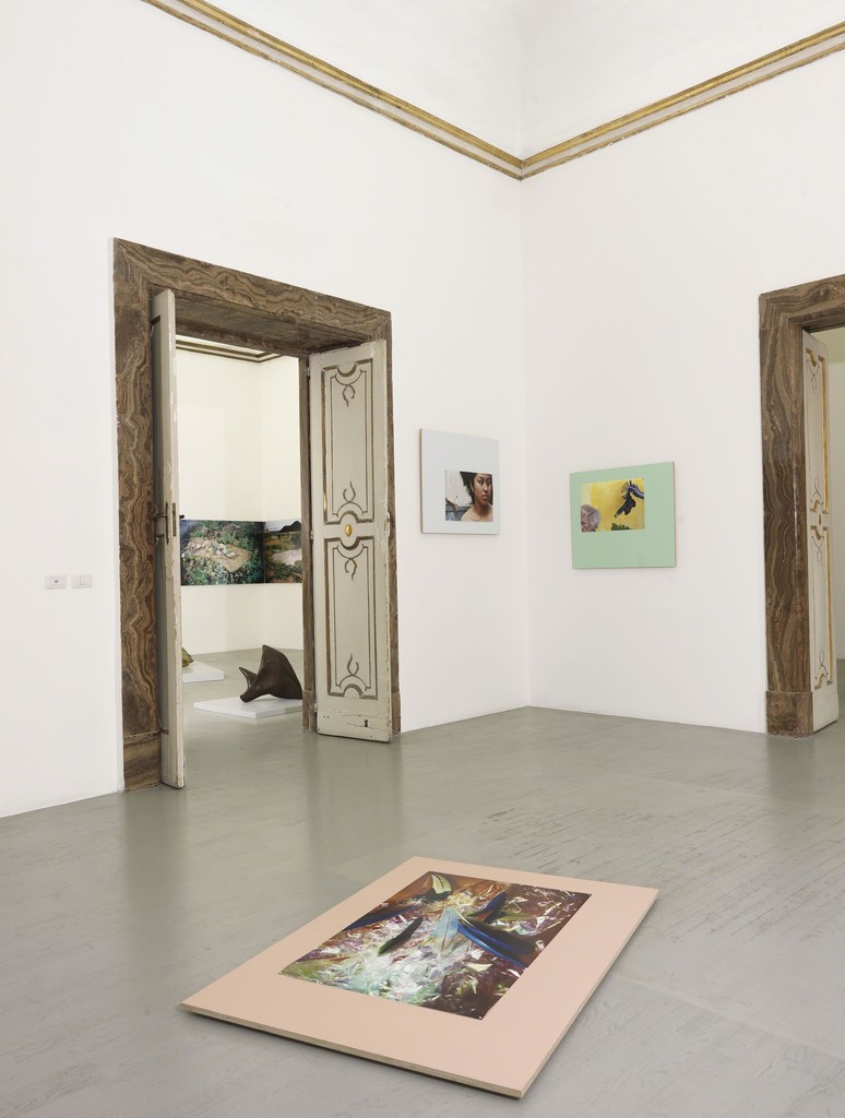 Maria Thereza Aves - Time, Trade and Surplus Value - Partial view of the exhibition - July 2018 Maria Thereza Aves - Time, Trade and Surplus Value - Partial view of the exhibition - July 2018