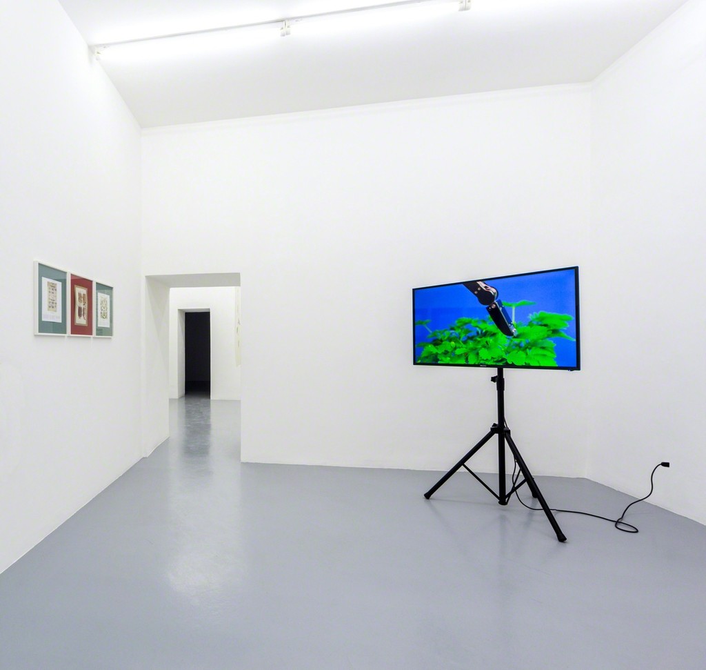 Pedro Neves Marques, Learning to Live with Other Bodies, 2017, exhibition view at Galleria Umberto Di Marino, Napoli, Italy Pedro Neves Marques, Learning to Live with Other Bodies, 2017, exhibition view at Galleria Umberto Di Marino, Napoli, Italy