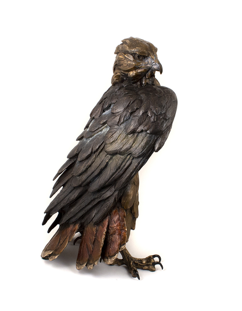 Bryce Pettit, ‘Storm Front (Red-Tailed Hawk)’, 2019, Blue Rain Gallery