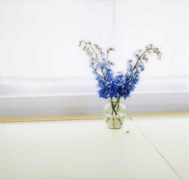 Uta Barth, ‘Untitled (05.18) ’, 2005, Photography, Mounted colour photographs, Oliver Sears Gallery