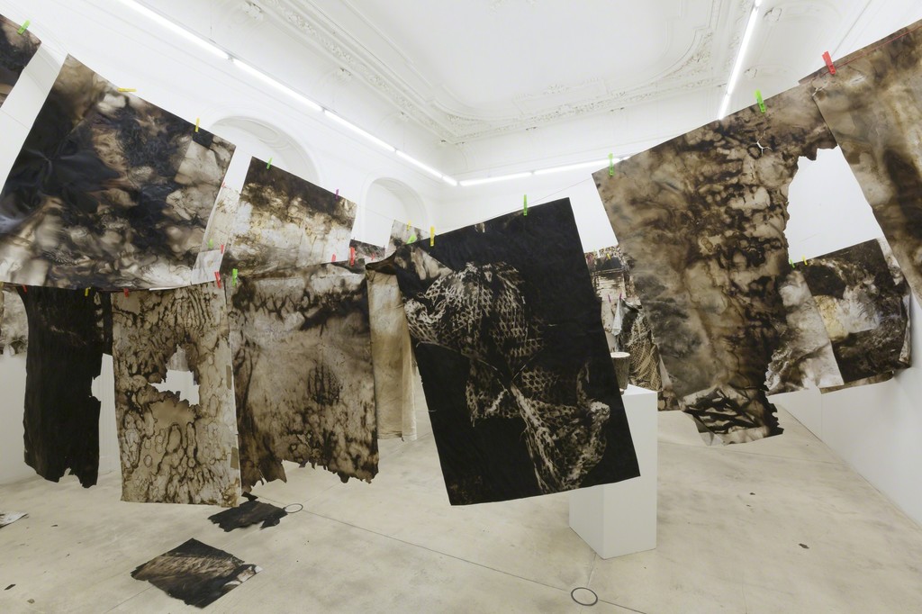 courtesy Galerie Krinzinger / photo Tamara Rametsteiner courtesy Galerie Krinzinger / photo Tamara Rametsteiner
