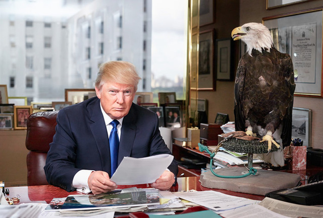Martin Schoeller, ‘Donald Trump’, 2015, Photography, Archival Pigment Print, CAMERA WORK