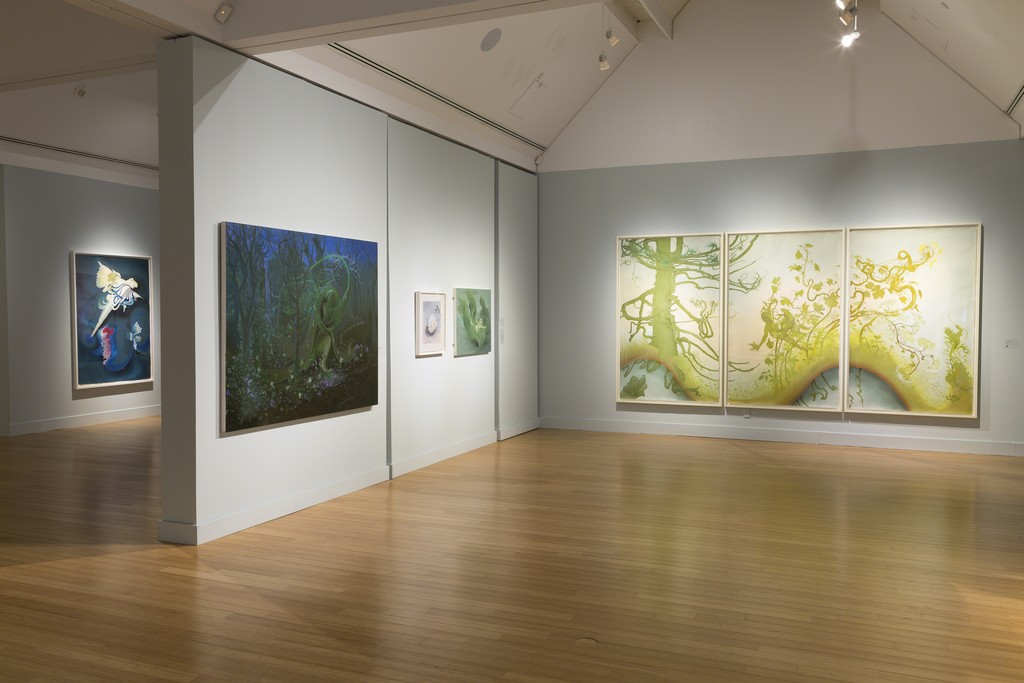 Inka Essenhigh: A Fine Line at the Virginia Museum of Contemporary Art. Photograph by Echard Wheeler Inka Essenhigh: A Fine Line at the Virginia Museum of Contemporary Art. Photograph by Echard Wheeler