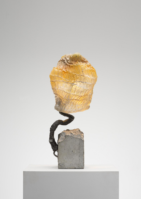 Nacho Carbonell, ‘Growing Glass (144_2019)’, 2019, Carpenters Workshop Gallery