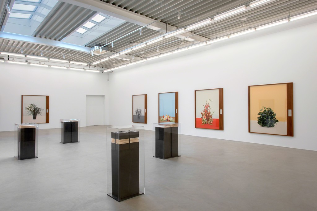 © Hugard & Vanoverschelde. Courtesy of the Artist and Almine Rech Gallery. © Hugard & Vanoverschelde. Courtesy of the Artist and Almine Rech Gallery.