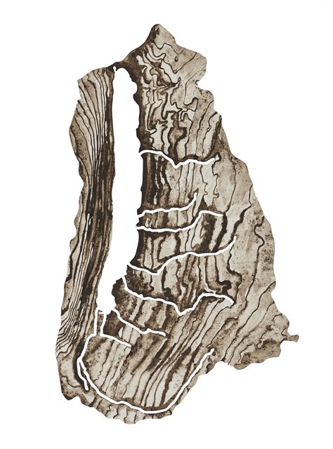 Lauren Rosenthal McManus, ‘Canadice Lake’, 2017, Drawing, Collage or other Work on Paper, Ground rock, water, and gum arabic on paper, Garvey | Simon