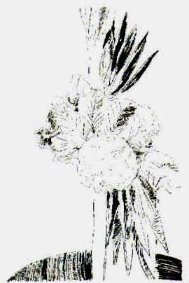 Andy Warhol - Flowers, black and white