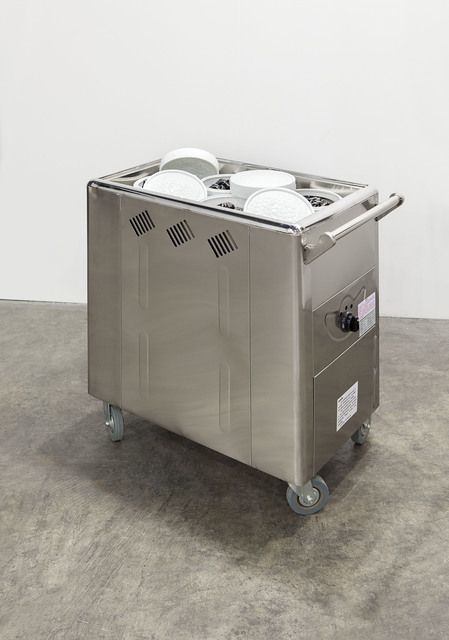 Rirkrit Tiravanija, ‘Untitled (freedom cannot be simulated, Sundays are for dim sum)’, 2015, Pilar Corrias Gallery